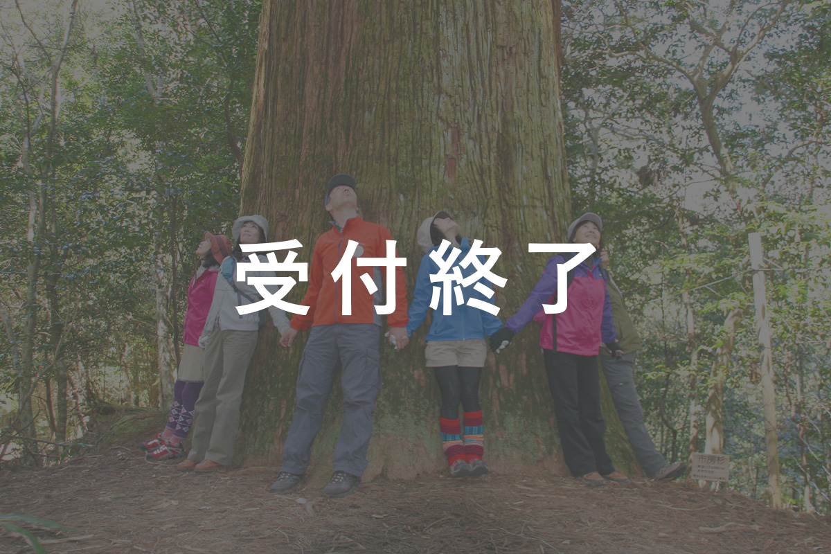 市房千年杉ゆったり森歩き＆温泉旅～日帰りバスツアー～