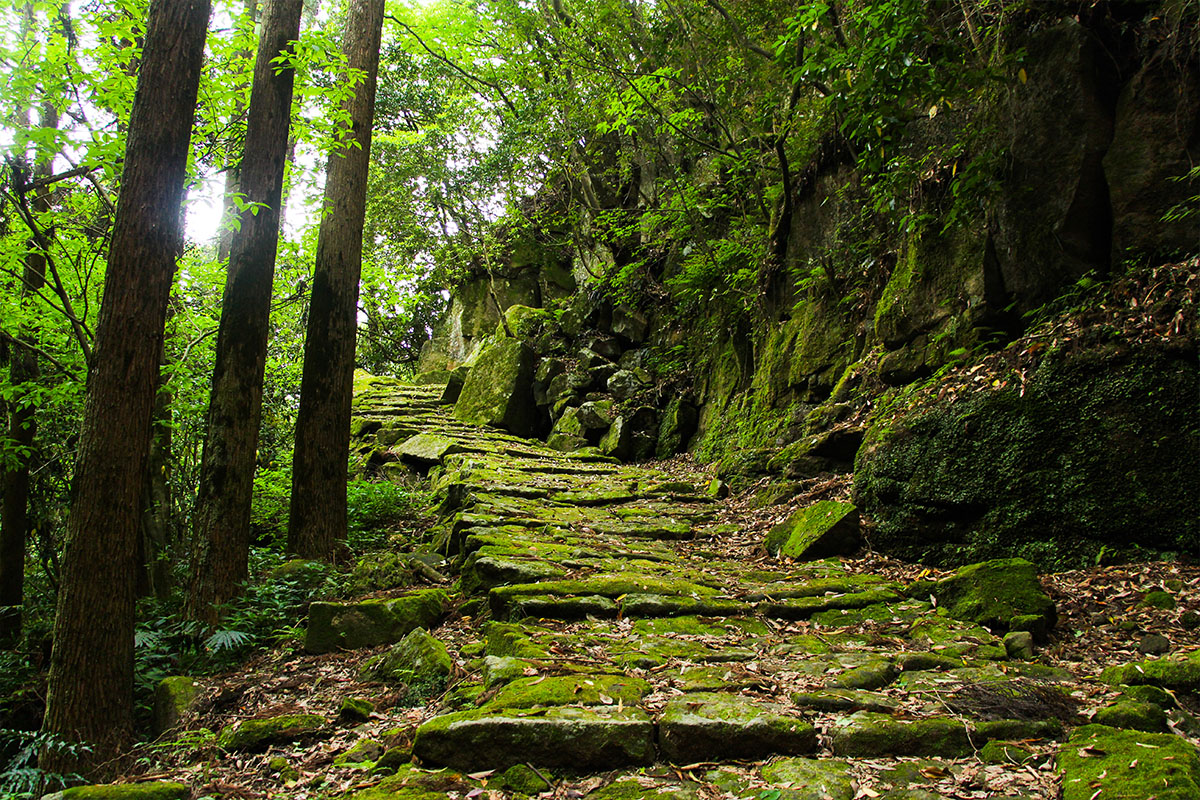 掛橋坂