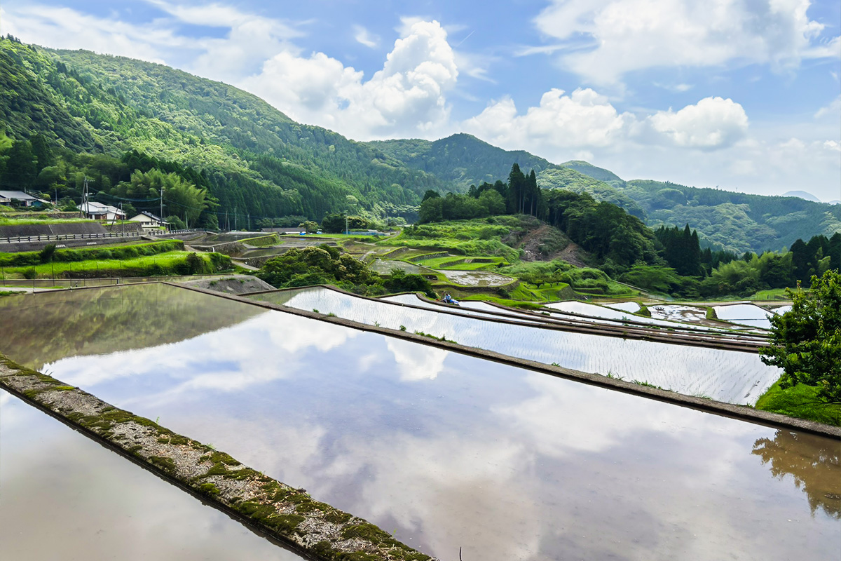 八重の棚田